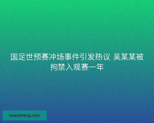 国足世预赛冲场事件引发热议 吴某某被拘禁入观赛一年 国足世预赛冲场事件引发热议 吴某某被拘禁入观赛一年