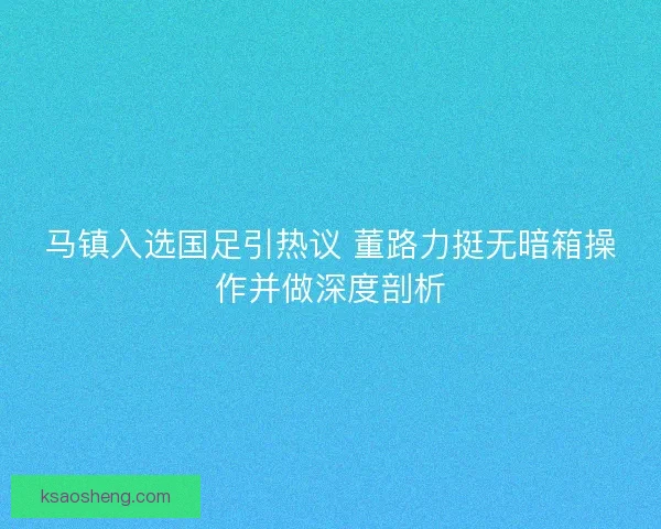 马镇入选国足引热议 董路力挺无暗箱操作并做深度剖析